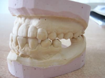 P1010542 sspneh - Eugenol