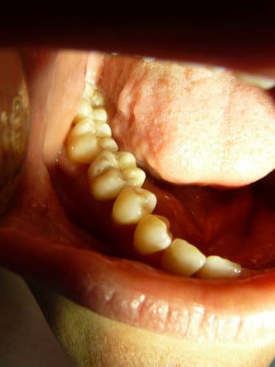 P1010558 nilenx - Eugenol