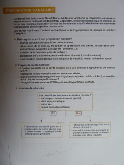 P1030325 nliok2 - Eugenol