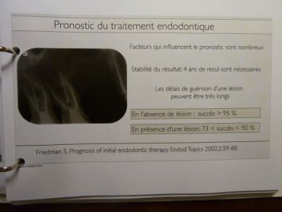 P1030846 t7tvvz - Eugenol