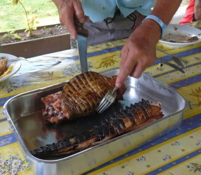 P1050383 nszkak - Eugenol