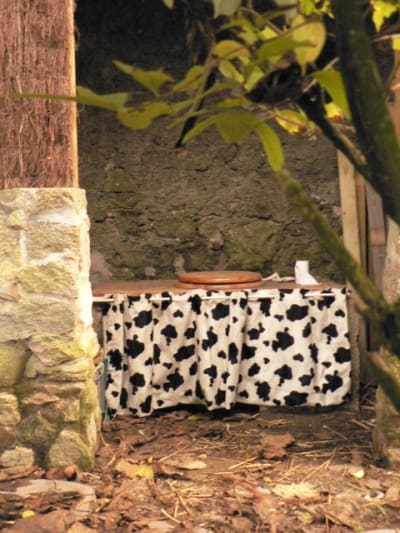 P1160124 vct18l - Eugenol