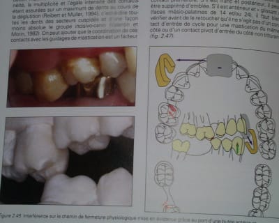 Pic00038 ksdfbn - Eugenol