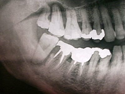 Pict0340 asusoj - Eugenol