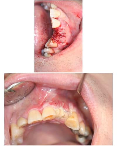 Planche contact 002 copie tqtgfh - Eugenol