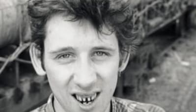 Shane mac gowan llzwaa - Eugenol