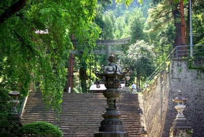 Tk  7  mccvmr - Eugenol