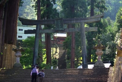 Tk  8  ubx3qy - Eugenol