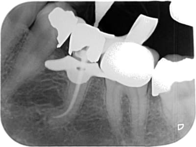 Unknown x 2011 10 17 10 42 07 3 ab39qk - Eugenol