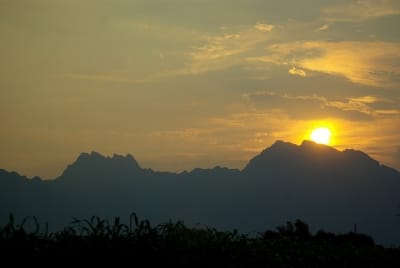 Zz1  3  f5fzxy - Eugenol