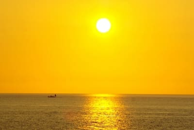 Zz1  4  sm35nm - Eugenol