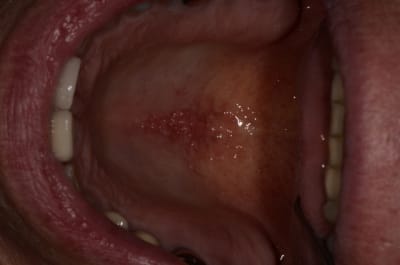  dsc1686 ftyowl - Eugenol