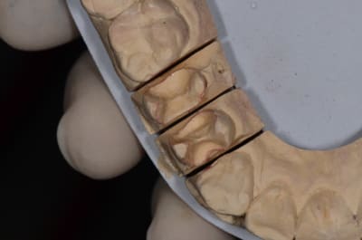  dsc1704 yrad0y - Eugenol