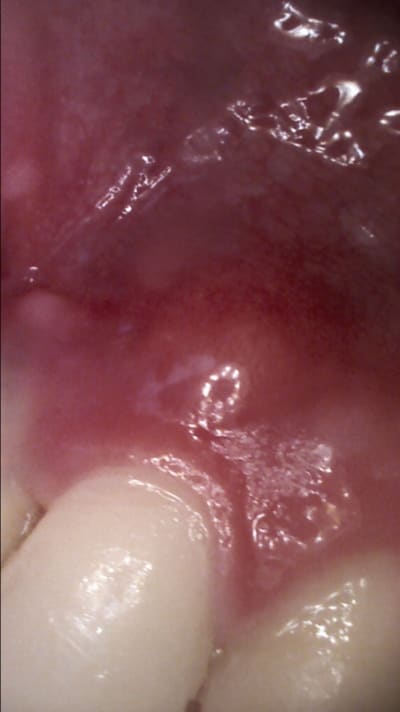 A4syuhit0siwvco467wb - Eugenol