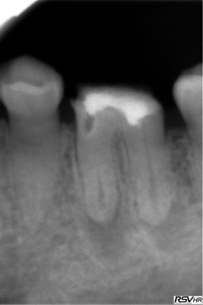 Al1 qh467e - Eugenol