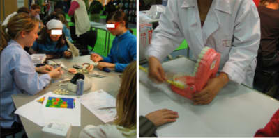 Apprentissage iayfmx - Eugenol