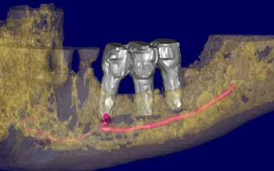 Bernard 3d xa0wmb - Eugenol