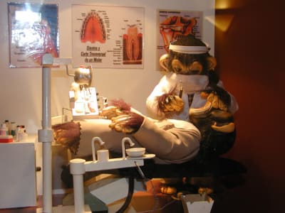 Cab rqiywj - Eugenol