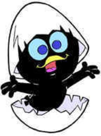 Calimero zfn8lw - Eugenol