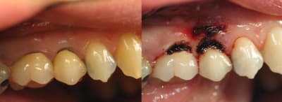 Cas2 bzgolu - Eugenol