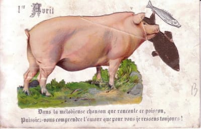 Cochon avril 01 jvzozp - Eugenol