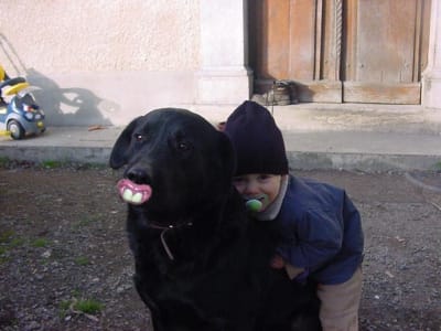 Copie uu7a8t - Eugenol