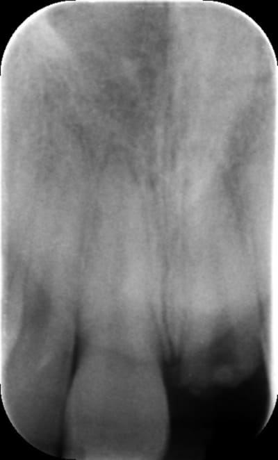 Crzt3bqmkvbh506ypu8e - Eugenol