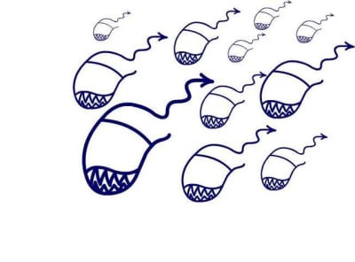 Eugecrocs by0cis - Eugenol