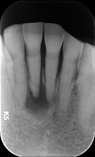 Ewdqmviext97ewm3zpow - Eugenol