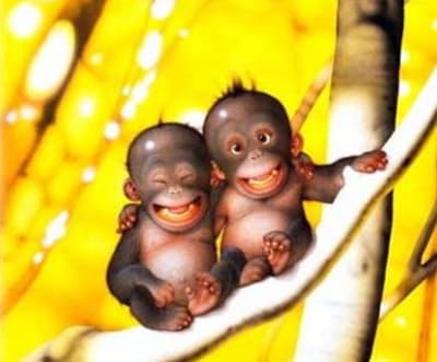 Famille rhune oxvy4i - Eugenol