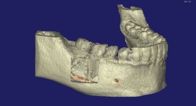 Felicia 3d9 dusdmo - Eugenol