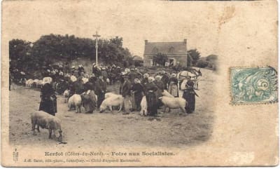 Foire aux cochons socialistes wx4l1z - Eugenol