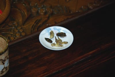 Frelons2 yogf3y - Eugenol