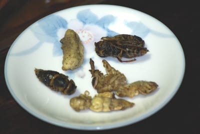 Frelons3 frkksg - Eugenol