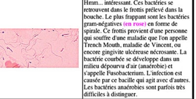 Fuso ccze5t - Eugenol