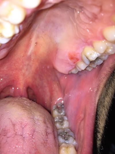 Fv96sxfwedxw5gwadrum - Eugenol