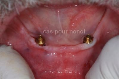 G1653g nhnejw - Eugenol