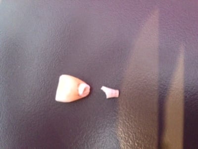 Gisele wksn4q - Eugenol