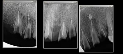 Gmwtjdyxeytt7gvkdanc - Eugenol