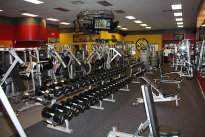 Golds gym rancho santa margarita bz2wek - Eugenol