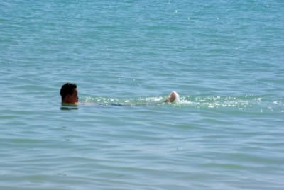 Hal2 oqr3ua - Eugenol