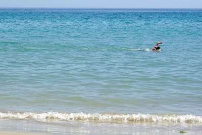 Hal3 ziewqh - Eugenol