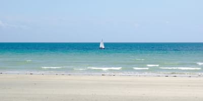 Hal4 gryshm - Eugenol