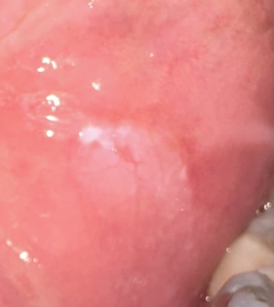 Hvyfku7qh8bd736jsmw75ixyne22 - Eugenol