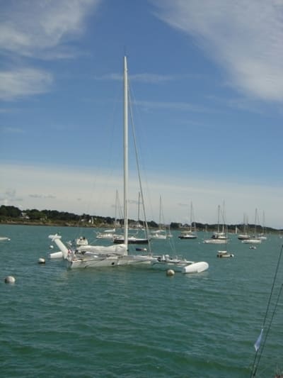 Hydroptère hzdbgb - Eugenol