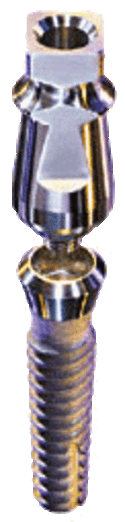 Image10 gfzgmk - Eugenol