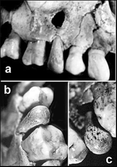 Image217 dmaubt - Eugenol