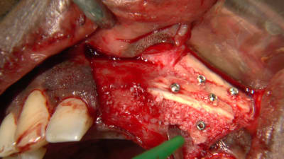 Instantan  003 dzhbrt - Eugenol