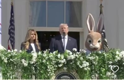 J0w3hfo62b7zmbpja7b2acztyo91 - Eugenol