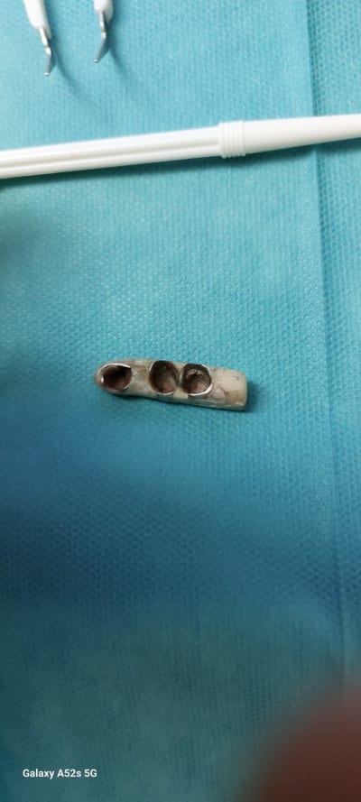 Lf8sao9ipevtp1v2tu6dsdy6qcye - Eugenol